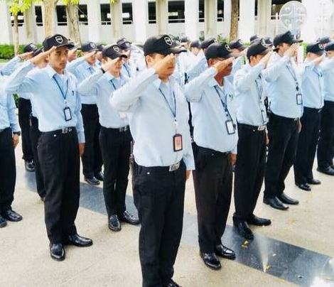 Guards saluting in a parade line